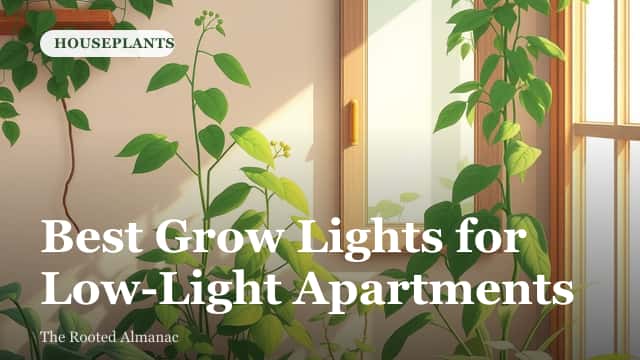 A small apartment plant shelf lit by a clip-on grow light above a row of potted houseplants