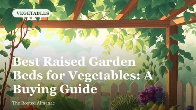 Raised garden beds filled with vegetable seedlings